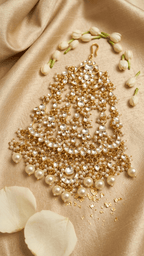 Amit Passa | Jhoomer | Ready - to - ship - Touch Of Elegance